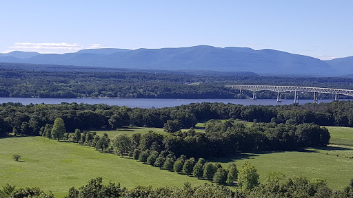 Ferncliff Forest