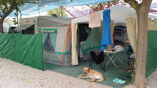 Camping Bon Sol