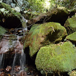 Small fall in Nellies Glen (411158)