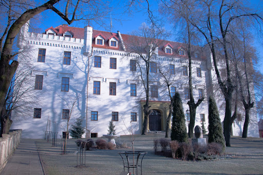Hotel Zamek Ryn