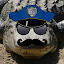 Gator Cop's user avatar