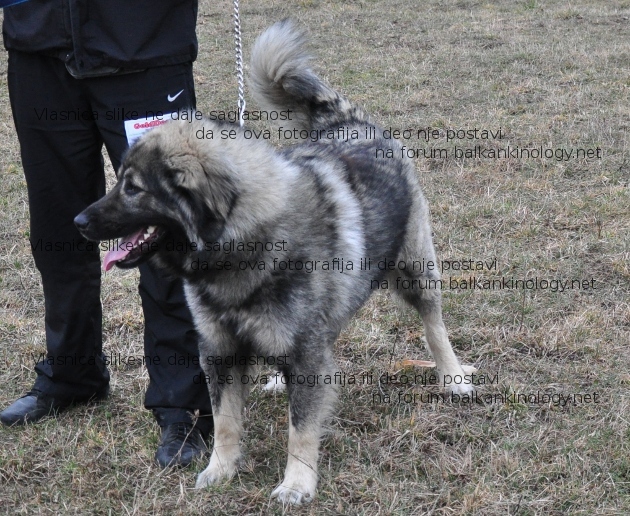 DSC_0213rrw.JPG