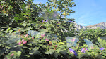 Beautiful scenery abounded Beautiful scenery abounded