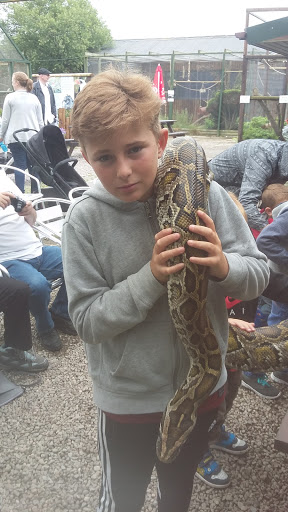 Borth Animalarium