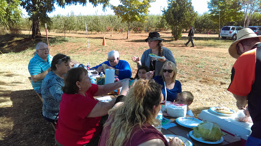 Apple Hill