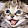 eder dos santos santos eder dos santos santos's profile photo