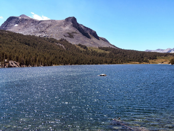 CALIFORNIA 2013 - Blogs de USA - 11 AGOSTO: TIOGA PASS, BODIE Y MONO LAKE (5)