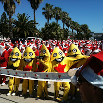 AussieSTARS from STARStv Variety 
