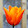 Tsukino Usagi Tsukino Usagi's profile photo