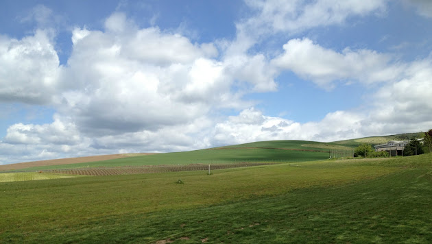 Cover photo