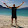 Patrick Savalle Patrick Savalle's profile photo