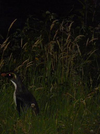 P1030546.JPG