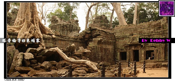 [柬埔寨Cambodia-塔普倫寺Ta Prohm~古墓奇兵的起點]~暹粒Siem~吳哥窟Angkor Wat~高棉