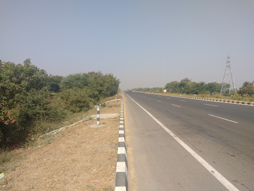 Shreeji Firm & Nursary, Khada Ahamdabad Higway, National Highway 8, Gujarat 387120, India, Plant_Nursery, state GJ