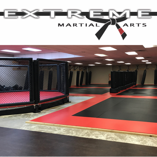Extreme Martial Arts logo