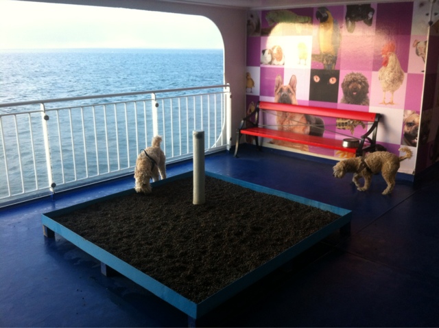 Segling i medelhavet med S/Y Mon Ami: Färjan - Kiel med hund