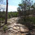 Rocky section of the Mt Kuring-gai Track (116551)