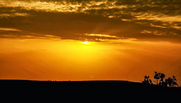 Cover photo