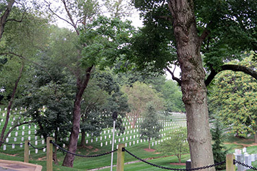 Cementerio de Arlington- Parque Nacional de Shenandoah - Costa este de EEUU: 3250 millas de Boston a los Cayos de Florida (3)