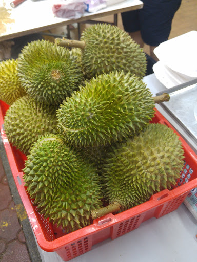 The Durian Tree