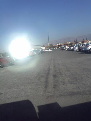 The San Jose Flea Market