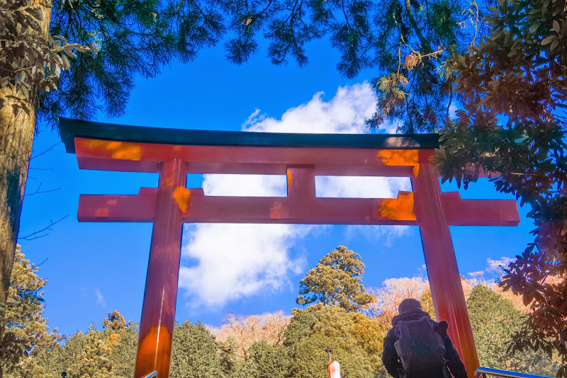 箱根神社 写真4