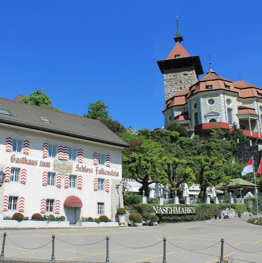 Gasthaus zum Schloss Falkenstein logo