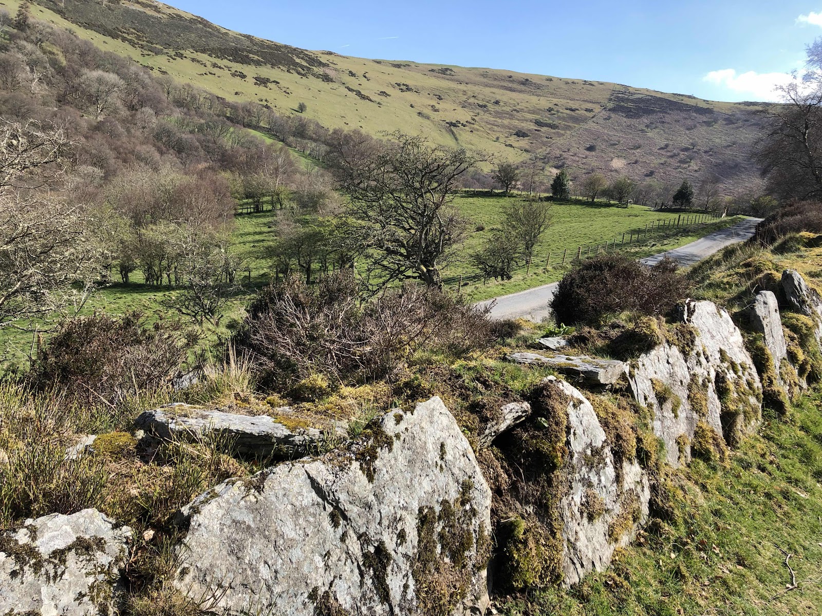 Gilfach Nature Reserve