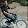 Jed Shuster Jed Shuster's profile photo