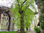 Povestea e pe blog: http://www.povesticalatoare.ro/2014/04/21/biserica-fortificata-din-biertan/