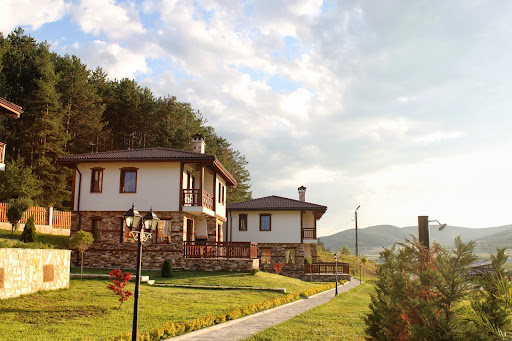 Руминика