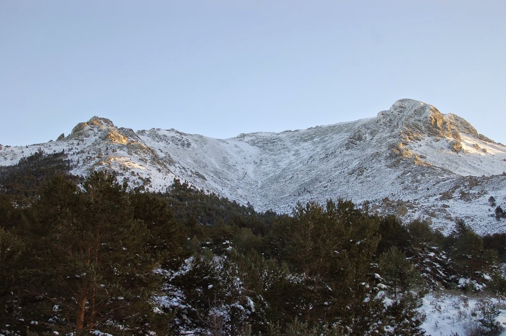 DSC_8331.JPG
