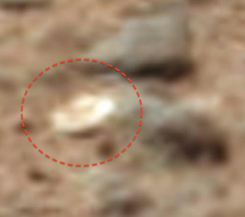Golden Disk Found On Mars Surface By Rover Dec 14 2014 Ufo Sighting News