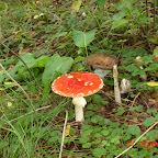 DSC00103.JPG