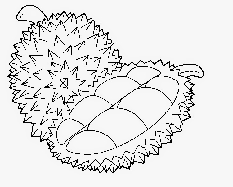  Gambar  Direktori Video Google Gambar  Durian  Animasi  di 