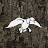 duckbuckcommander