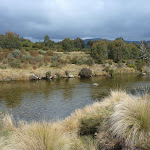 Looking south across the Thredbo River (295637)