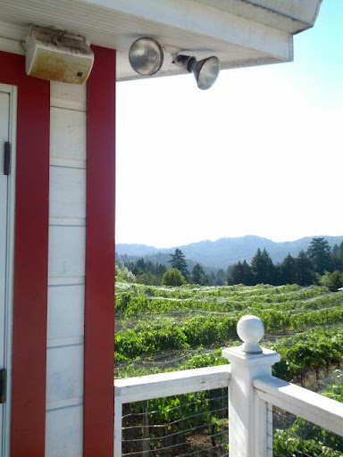 Winery «Burrell School Vineyards», reviews and photos, 24060 Summit Rd, Los Gatos, CA 95033, USA