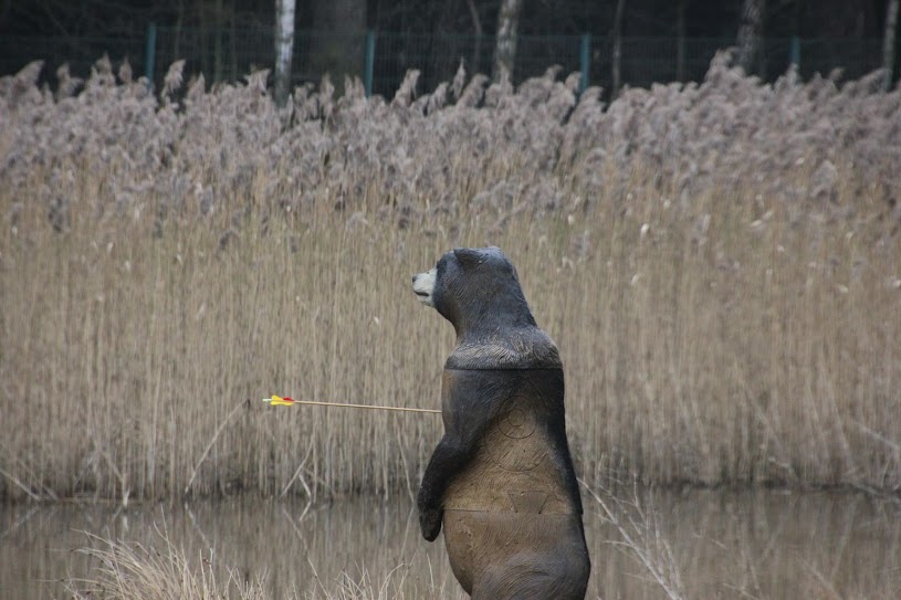 Bär am Ufer des Stausees