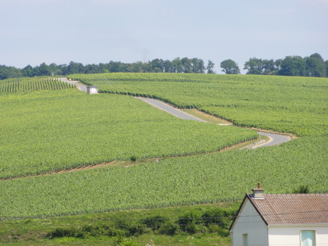 DSC00014.JPG