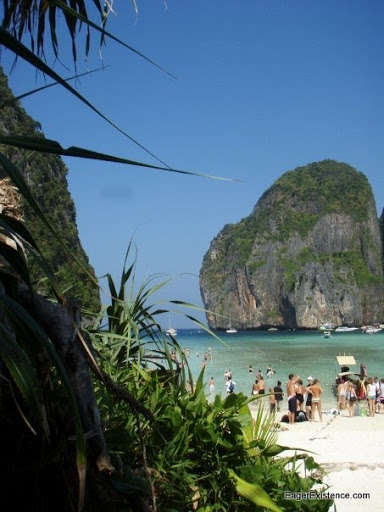 phi phi 4 phi phi 4
