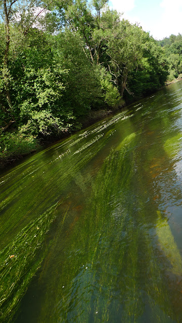 https://lh6.googleusercontent.com/-wTiAtOhMhv8/U_ObRL12jsI/AAAAAAAAFYM/Af4uX2GAcqI/s640/P1220785.JPG