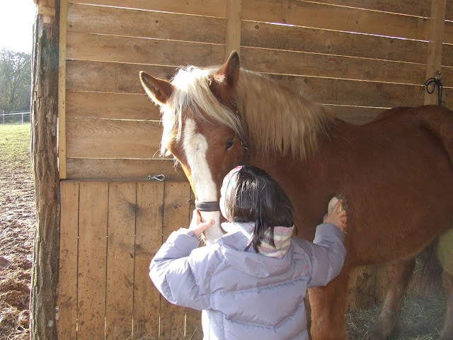 Thème de décembre : les chevaux et les enfants DSCF1607