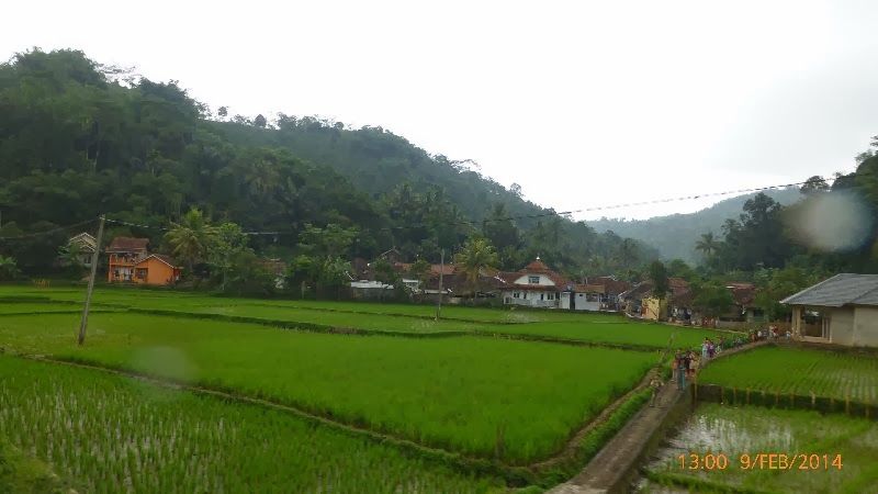 [Image: P1090292.JPG]