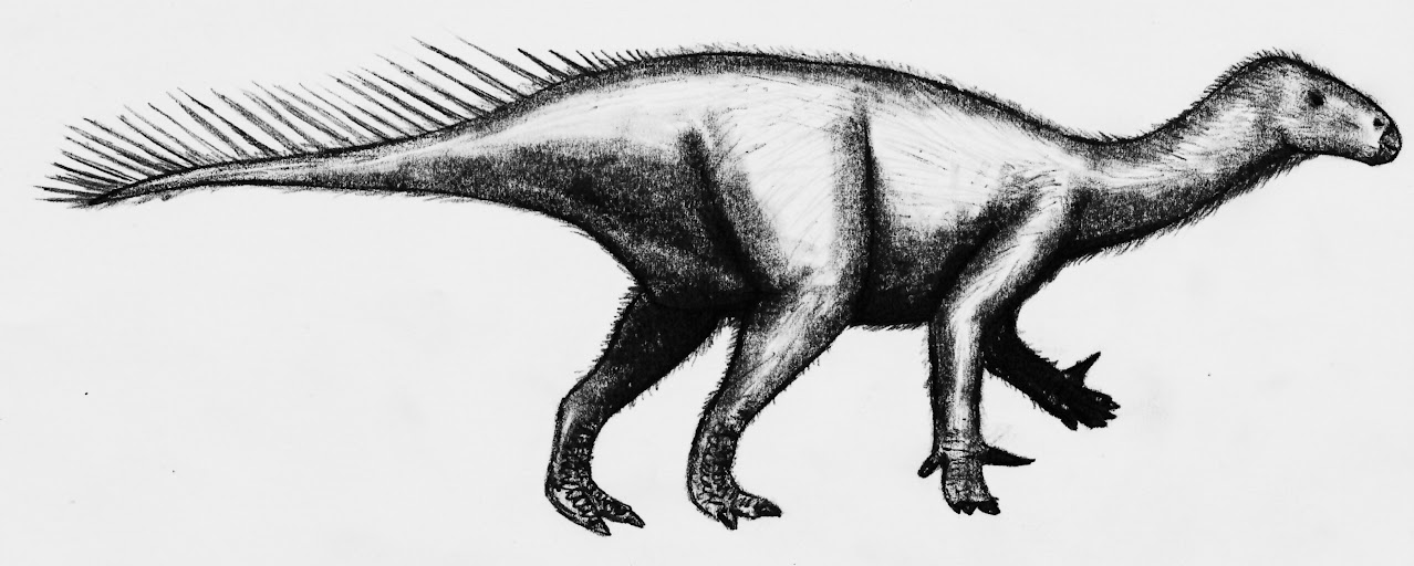 Iguanodon bernissartensis