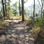 Foreshore Track Lake Macquarie (403783)