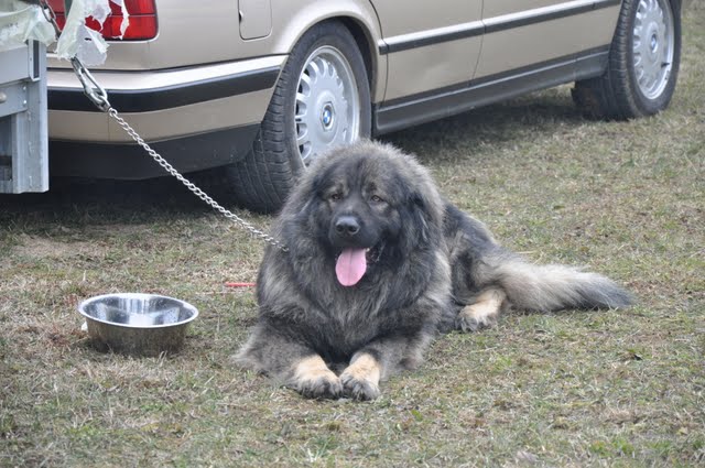 DSC_0030.JPG