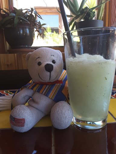 Xetava Gardens Cafe