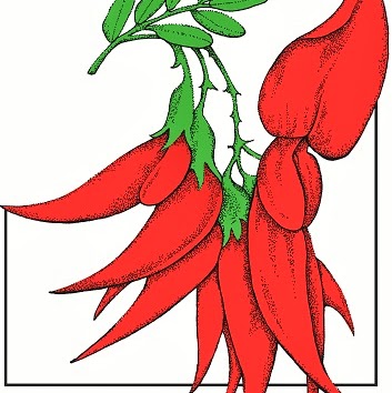 Dunedin Botanic Garden logo
