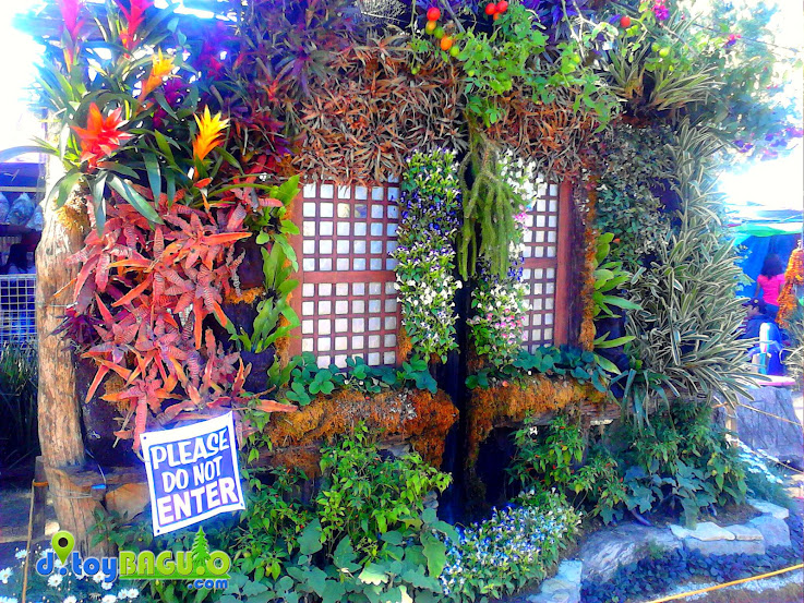 2013 Panagbenga Flower Festival Landscaping picture 29
